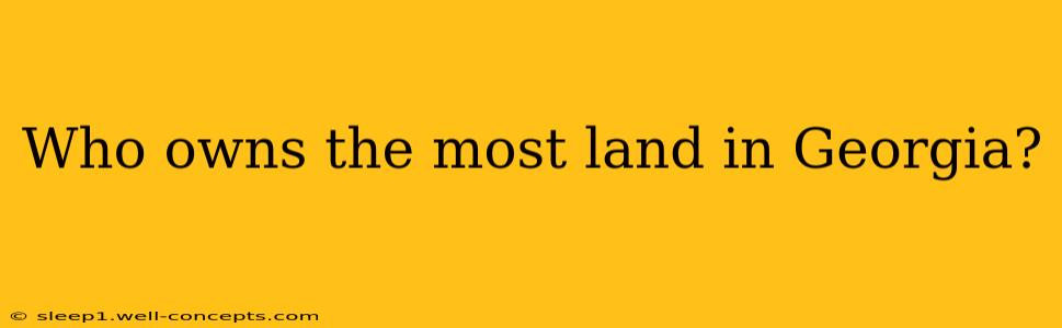 Who owns the most land in Georgia?