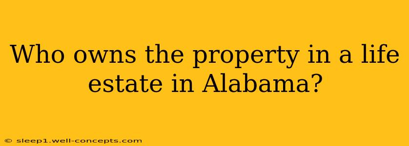 Who owns the property in a life estate in Alabama?