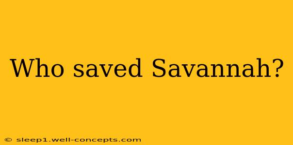 Who saved Savannah?