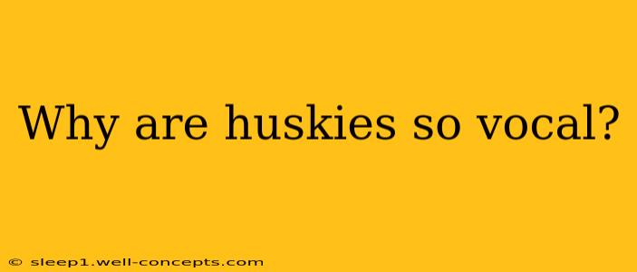 Why are huskies so vocal?