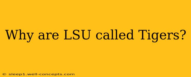 Why are LSU called Tigers?