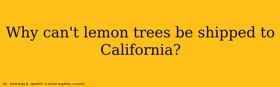 Why can't lemon trees be shipped to California?