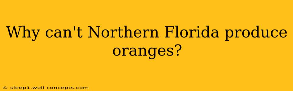 Why can't Northern Florida produce oranges?