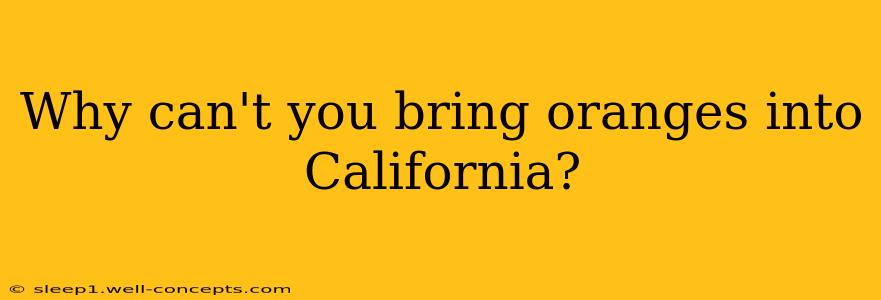 Why can't you bring oranges into California?