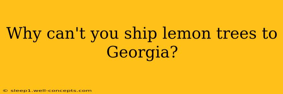 Why can't you ship lemon trees to Georgia?