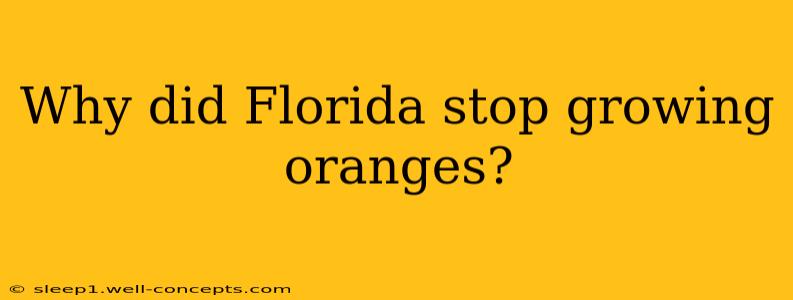 Why did Florida stop growing oranges?