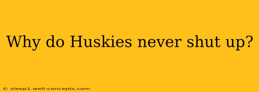 Why do Huskies never shut up?