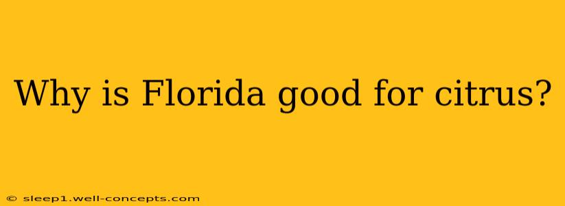 Why is Florida good for citrus?