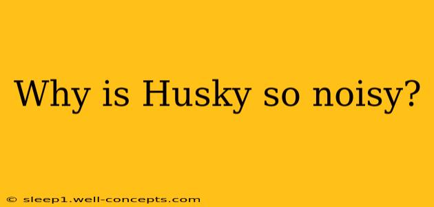 Why is Husky so noisy?