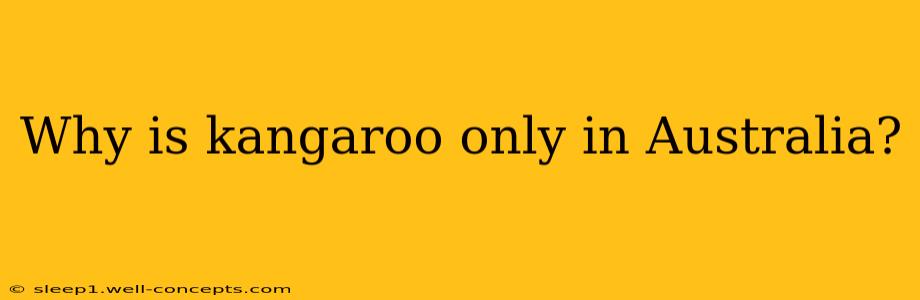 Why is kangaroo only in Australia?