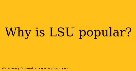 Why is LSU popular?